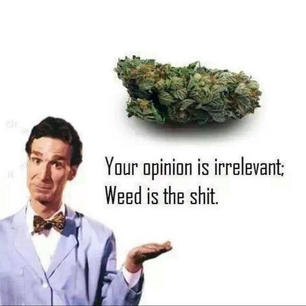 WeedComesFirst's tweet image. Indeed