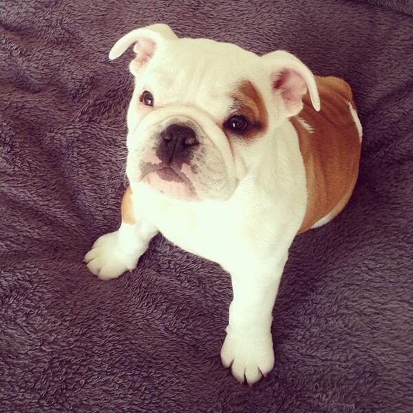 BjCwDMZCUAAAgMM.jpg (600×600)