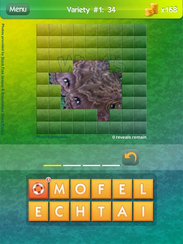 rosie266's tweet photo. Do you have any idea what this pic is on the #WhatsThePic app?! Try it, it's free: http://t.co/3UCHg6fqEx http://t.co/nB0LbZ2fQD