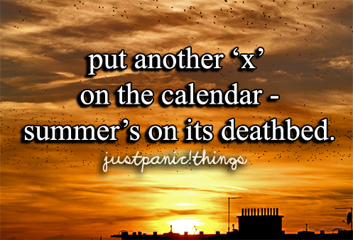 justpanicthings tweet picture