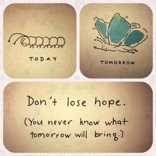 wordstionary tweet picture