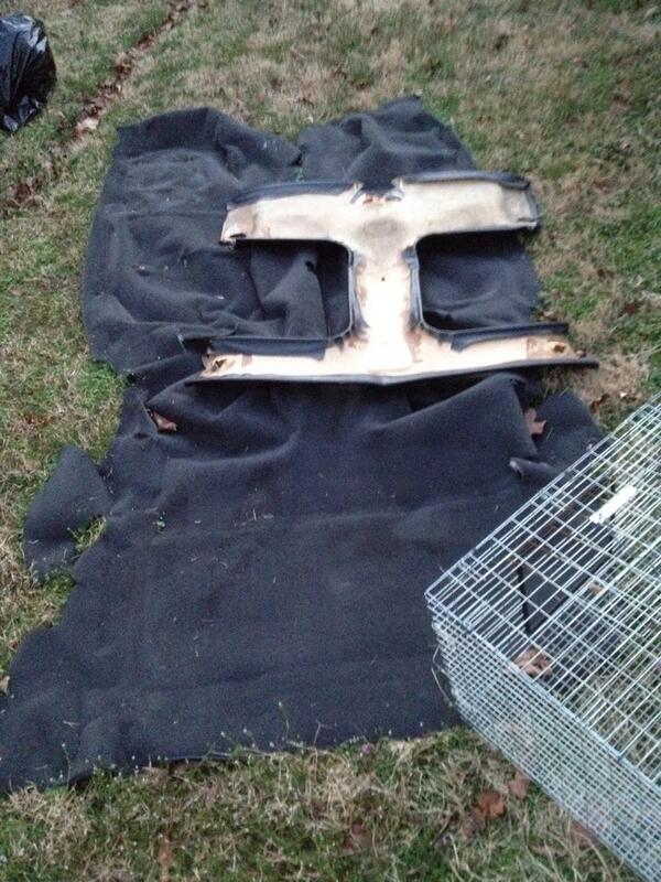 AngryTransAm's tweet image. For Sale: Headliner&amp;amp;Carpet,very very little blood stains,MakeOffer(rabbit cage not included)

#AngryTransAm #ls1Tech