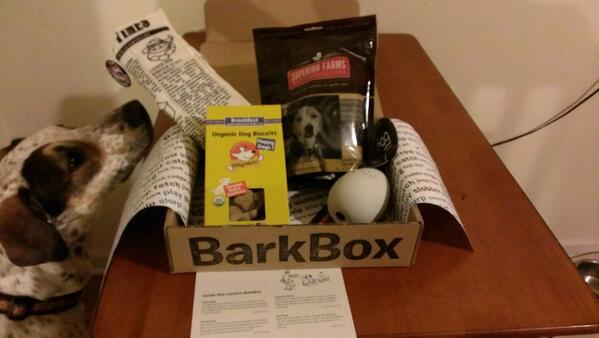 monafro's tweet photo. Not sure which of us is more excited about the latest #barkbox arrival. Definitely brightened our day. http://t.co/Y6rKY9Koj2