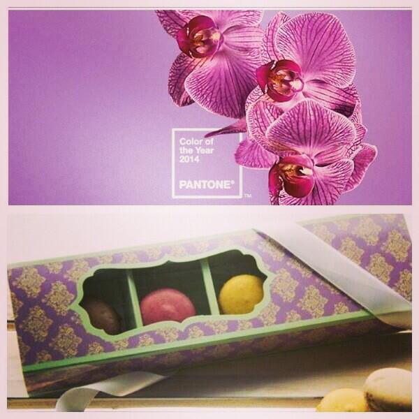 Styled_Pretty's tweet image. Keeping up with trends; Pantone Colour of the Year 2014: Radiant Orchid; visit us at styledpretty.com.au!