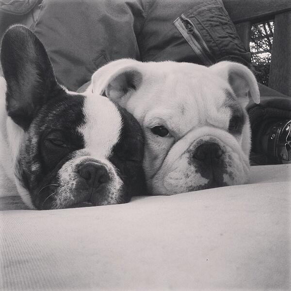 BjEw4K4CAAEZonJ.jpg (600×600)