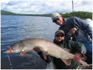 Walstenoutpost's tweet image. Northern pike fishing.