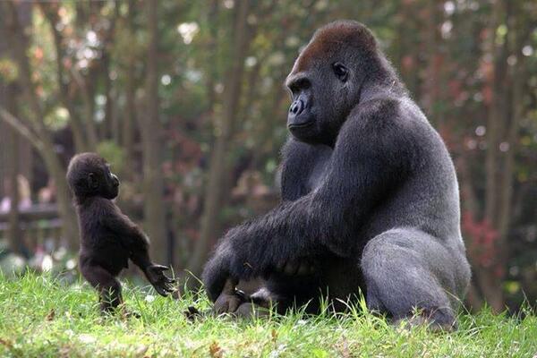 ¡Feliz día del padre!