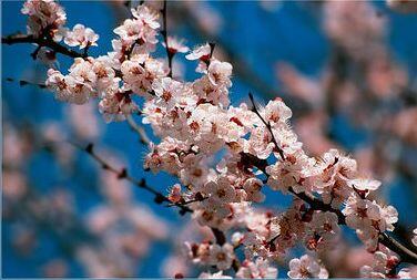 TextileOrange tweet picture