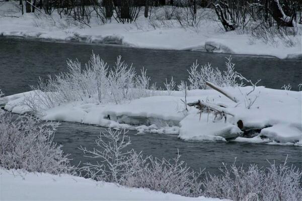 AwcenterTammy's tweet image. @SeeNewBrunswick #tobiqueriver
