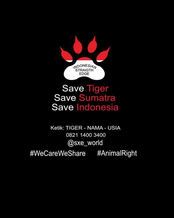 gigsplay's tweet photo. Yuk suarakan dukungan Save Harimau Sumatra, satu sms sangat berharga #WeCareWeShare http://t.co/4eY5mw6Skj | info: @sxe_world