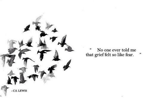 No one ever told me that grief felt so like fear ~ C.S Lewis
