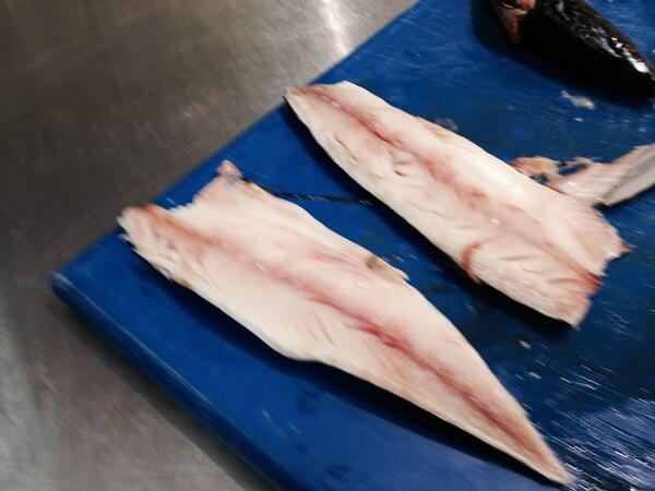 samantha hughes lloy tweet media