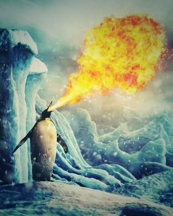 CaedoLongboards's tweet photo. Maybe this fire breathing penguin will bring spring faster! #longboard #caedoboard #nomoresnow #endlesssummer http://t.co/lCmcqKAOZl
