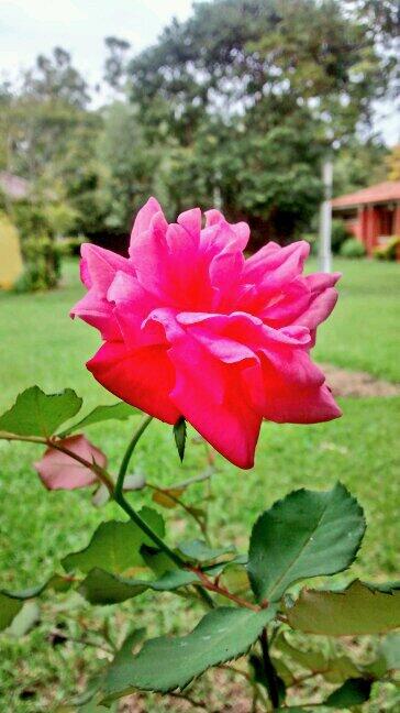Samukadeclerque's tweet photo. Pra todos ( as ) do meu clã beijos. http://t.co/yHR1NtRVaX