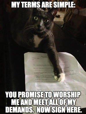 hmm, I think he's on to something lol http://t.co/miTtKQUxWd<a href="/tag/bbw"class="tags"><span>#bbw</span></a><a href="/tag/bigboobs"class="tags"><span>#bigboobs</span></a><a href="/tag/handbra"class="tags"><span>#handbra</span></a><a href="/tag/tigolbitties"class="tags"><span>#tigolbitties</span></a>