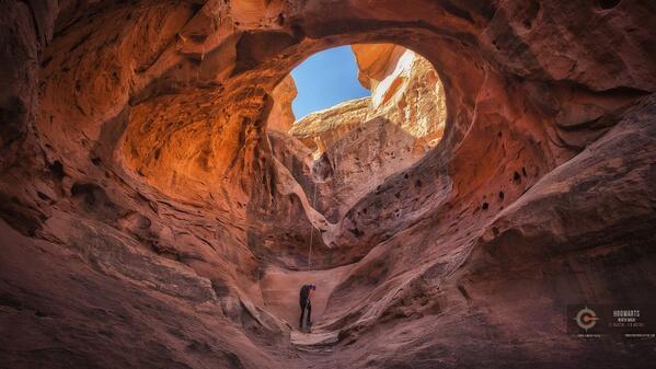 Canyon Collective tweet media