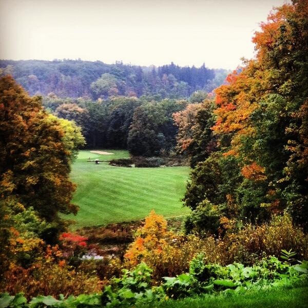 Sallengolf's tweet image. @heidi_striker @jnesky88 @_keithcook the 11th on my home course #natureatitsbest #elevatedtee #watchoutfordeer