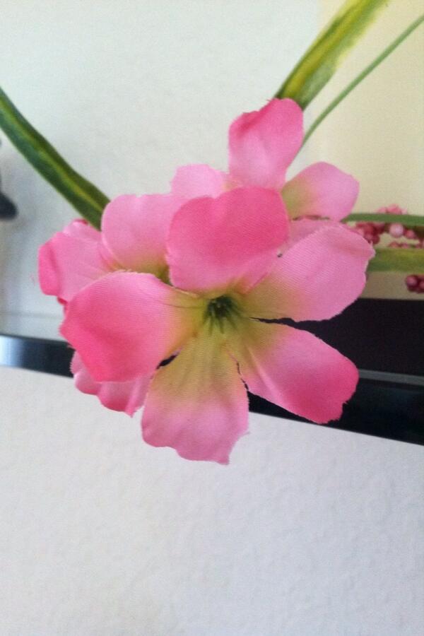 roridake tweet picture