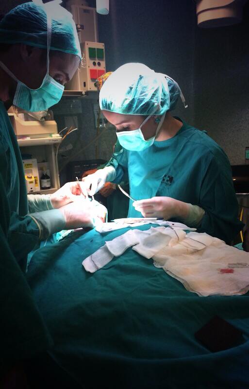 melissamalvis's tweet photo. Otro miércoles en el Quirófano del hospital de Sanchinarro. Madrid http://t.co/Arm25eafBf