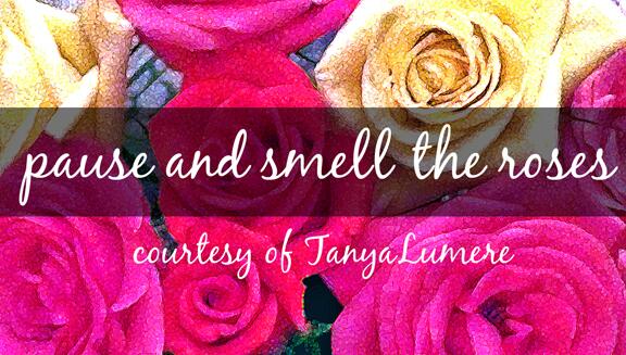 Tanya Lumere tweet media