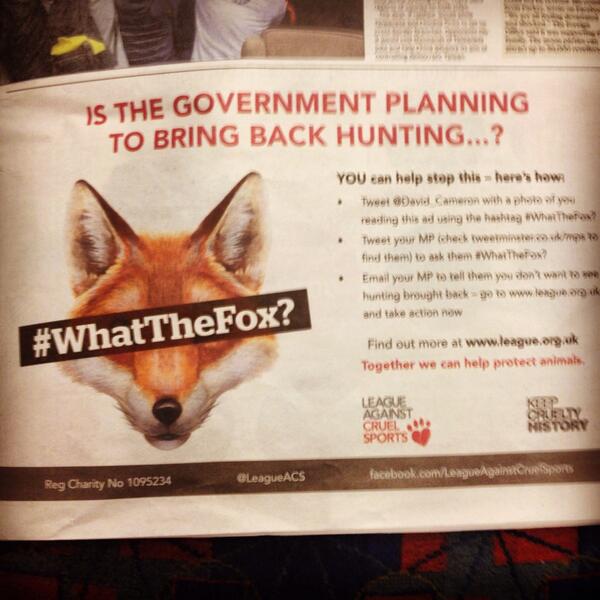 Can this be true. UK planning to bring back fox hunting. Glad I'm a Berlin Fox.