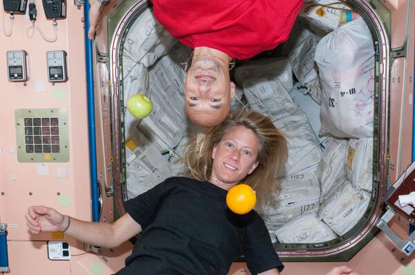 NASA's tweet image. Are you in the DC area next week? If so, meet @AstroKarenN &amp;amp; @Astro_Luca! Here's how: go.nasa.gov/OCxEKv  