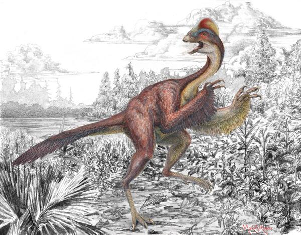 DiscoverMag's tweet photo. Giant "chicken from hell" is the newest dinosaur species to be discovered: http://t.co/RtwViYyM7t http://t.co/d89ean5hyV