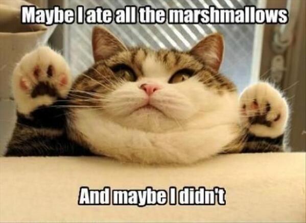 Look! Another #BHSister #marshmallow