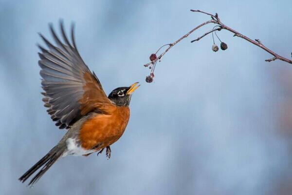 carlitaprats's tweet photo. WELCOME....,,,,,,,! http://t.co/fSY1veQaZF