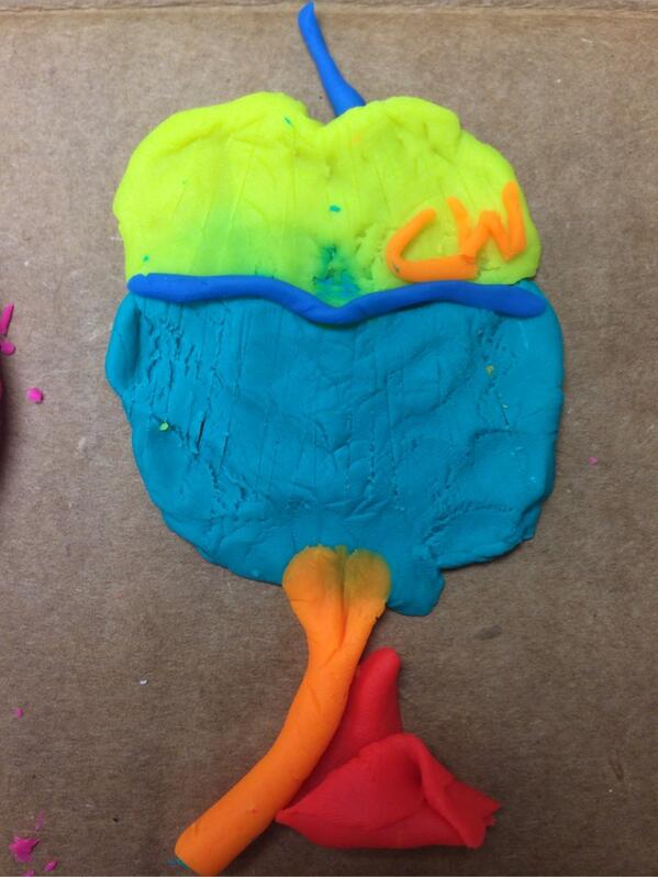 Rat organ challenge using playdo for Histotechnology professionals day. Very creative. #histology #playdo #pathology