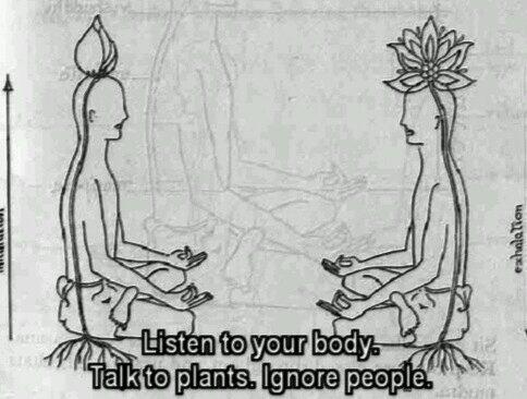 Talk to plants. This is what i am doing in spring break. Ignoring people. Listening to my body. Relaxing.