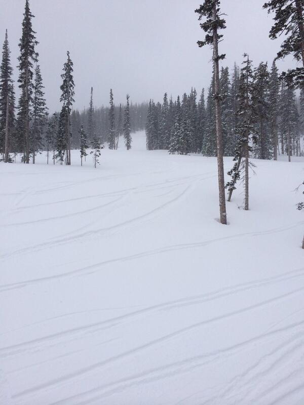 wind4me's tweet photo. @KristenSkiMom somebody call for #powderwhore ??? #snowchat @jenroeNY @JasonBWhitman @YvonneBatal http://t.co/FgFw18zIab