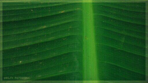 sreeworkz's tweet image. Green