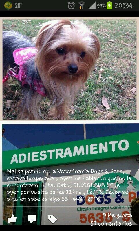 LasAguilasCDMX's tweet photo. OJO! "@MoGomez2: Zona Villa Verdun Axomiatla lomas d águilas, d Gpe a difundir/denunciar esta pseudo pensión canina http://t.co/Th9mLcyzVc