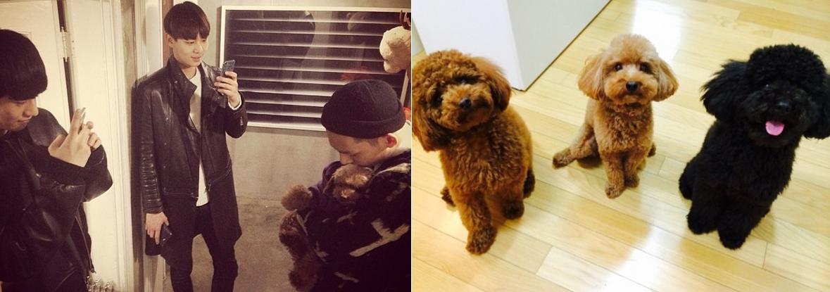 BjJ-MY1CQAAdm9m.jpg:large