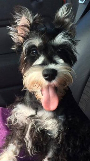 Uhhh ok. So it turns out that I'm still undecided. Murphy or Barclay? http://t.co/P4fqiFdVWK<a href="/tag/loved"class="tags"><span>#loved</span></a>