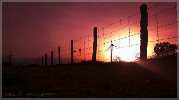 sreeworkz's tweet image. 