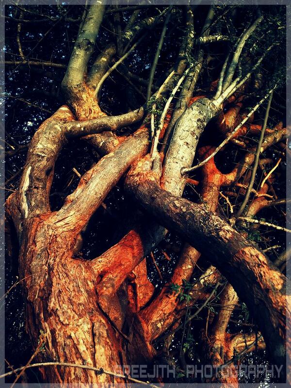 sreeworkz's tweet image. 