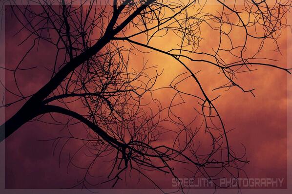 sreeworkz's tweet image. 