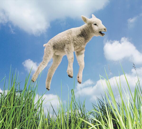 Lente! <a href="/Ontwerptank/">Erica</a> :D