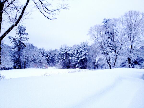 Joswright's tweet image. First day of Spring is finally here! At least, that’s what the calendar says.