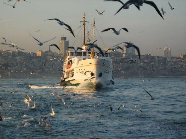 fırtınan şideti ne olursa olsun martı sevdiği denizden asla vazgeçmez..