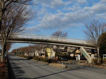 ロケ地 Arieru Daisuki Twitter