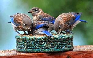 JMGERPSoftware's tweet image. Get online #schoolerpsoftware #erpsoftwaresourcecode help on #jmgerpsoftware- visit- jmgerpsoftware.com