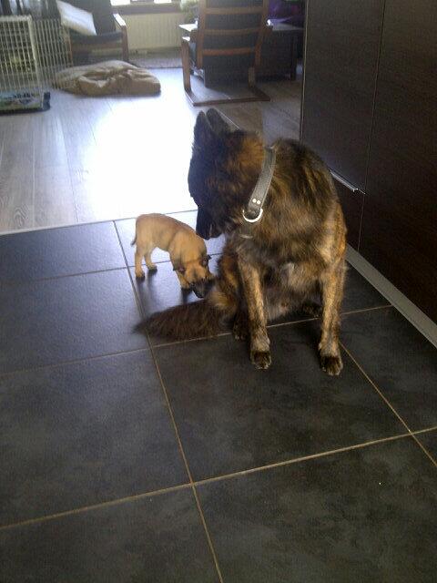 Moet ik nog zo groot worden?