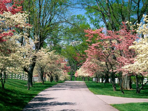 Manuel1959Es's tweet photo. #tallerG1Y2 @1982analozano @albayjaimerosa  mira el paisaje tan bonito http://t.co/qFnv1p9hCI