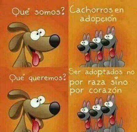 ZarpaProtecAnim's tweet image. Feliz jueves Zarposos!!