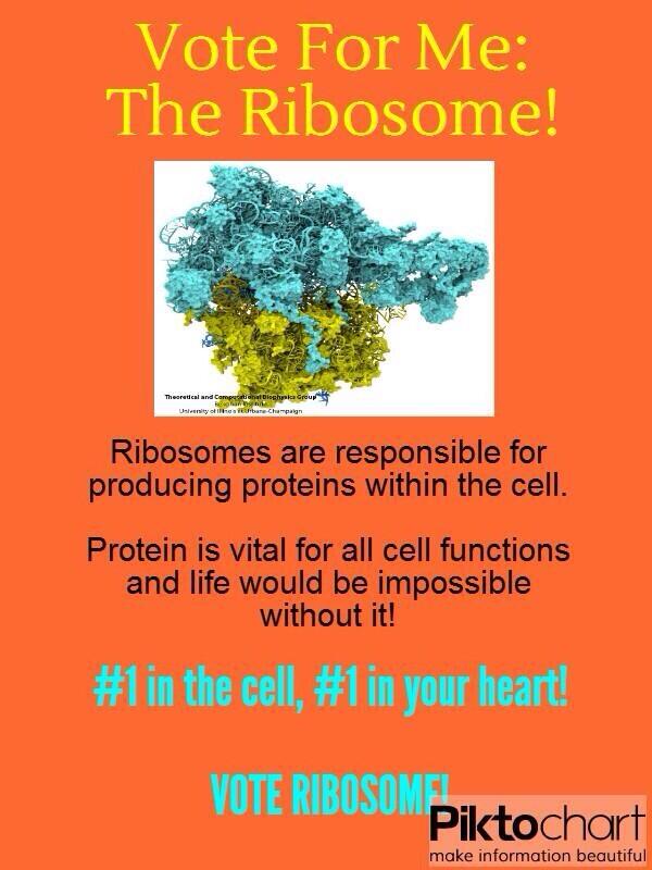 #organelleelection2014