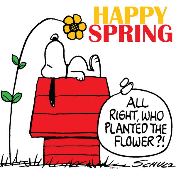 Snoopy's tweet image. Spring starts today! :) #firstdayofspring