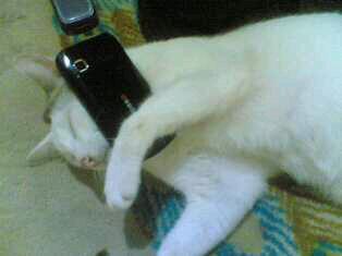 AtiRuslan tweet picture